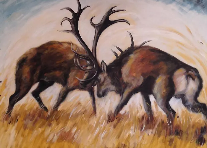 Alpe Di Sara Lantgård