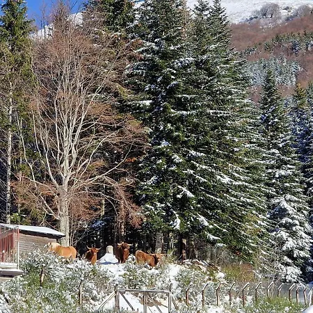 Κατάλυμα σε φάρμα Alpe Di Sara Fiumalbo