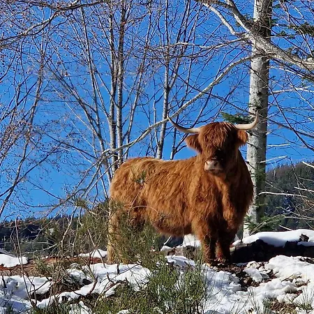 Alpe Di Sara Bauernhof Fiumalbo