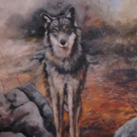 Bauernhof Alpe Di Sara