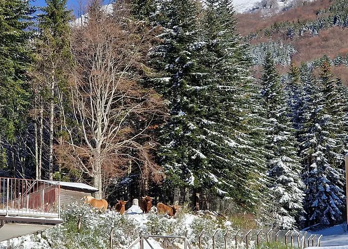 Bauernhof Alpe Di Sara Fiumalbo