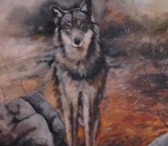 ファームステイ Alpe Di Sara